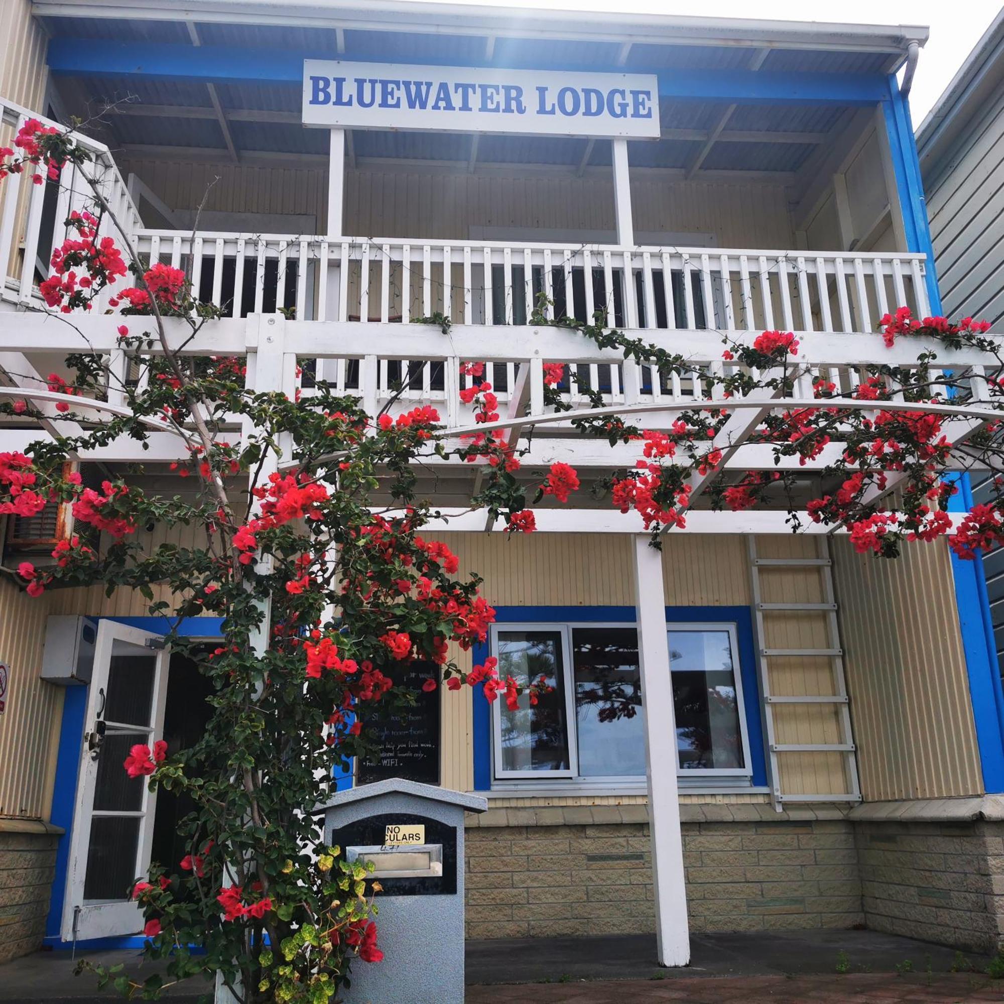 Bluewater Lodge Napier Exterior photo